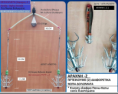 /products/pagida-thr1a/